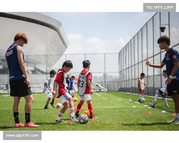 天津泰达足球场巅峰赛事激战正酣狂热球迷呐喊助威共铸绿茵传奇