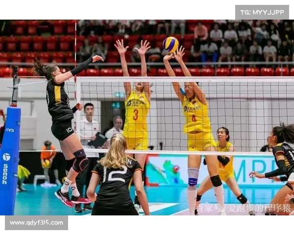 女排 瑞士 赛 停办