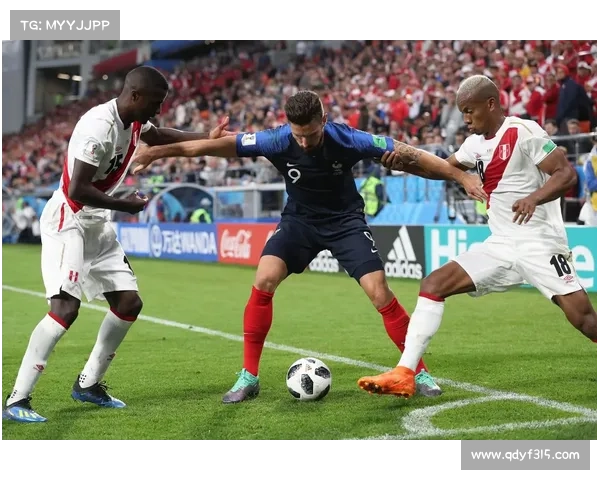 法国对秘鲁结果